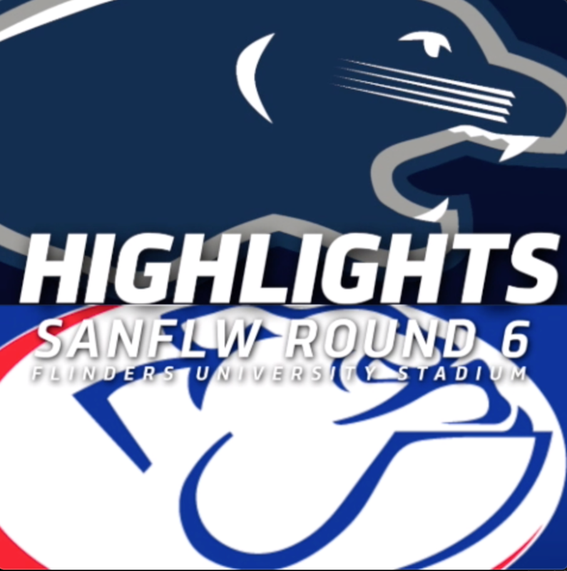 PanthersTV: South Adelaide vs Central District Highlights | Round 6, 2019 | SANFLW PanthersTV: South Adelaide vs Central District Highlights | Round 6, 2019 | SANFLW